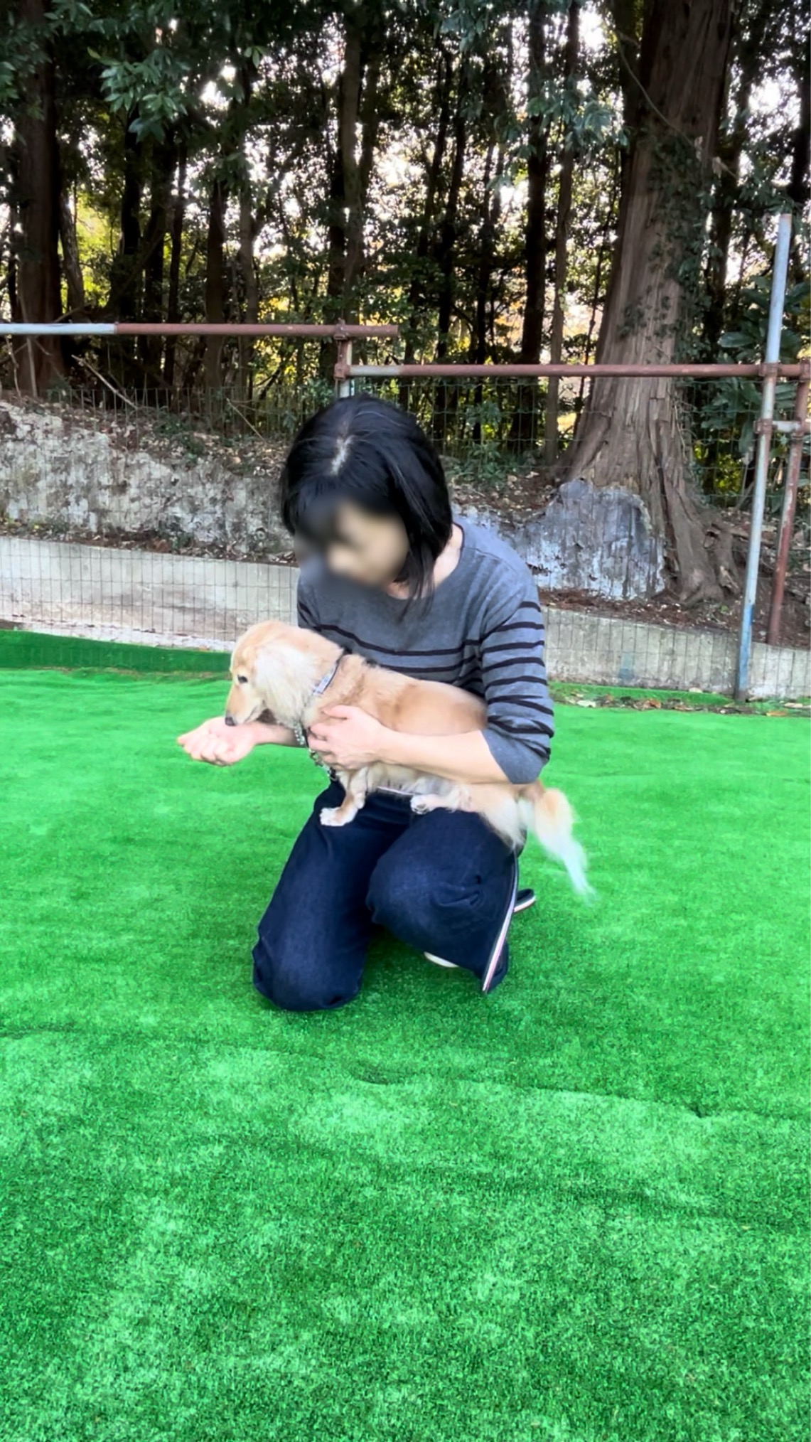 犬のしつけ方教室「ベーシッククラス」ではアロくんはダッコ（ドッグキャッチ）、オレオくんはトンネルのお勉強をしました