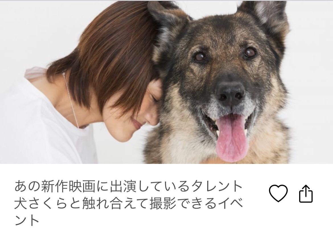 『あの新作映画に出演しているタレント犬さくらに触れ合えて撮影できるイベント』を開催