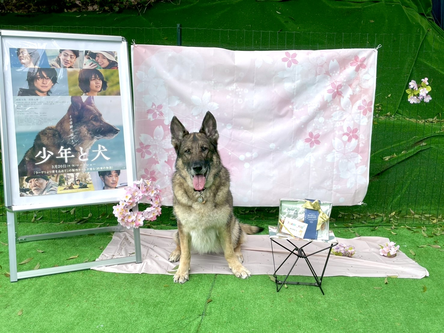 5／25(日)「映画『少年と犬』の多聞役を育てたドッグトレーナーが語る、犬との信頼関係とコミュニケーション法」再び開催決定しました！