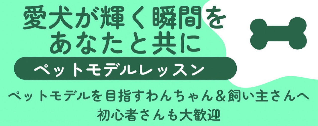 映画主演犬のトレーナーが教える！横浜ペットモデルレッスン