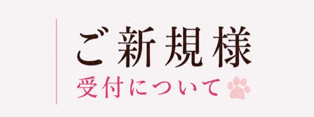 ご新規様の9月スタートのレッスンは満員となりました。現在、ご新規でお問い合わせいただいた方は、10月〜11月スタートでご案内しております。